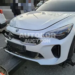 2021, Kia / Stinger, VIN: KNAE351DDMS099818, gas, 2500 куб.см.
