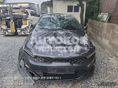 2021, Kia / K5, VIN: KNAG241ABMA102898, gas