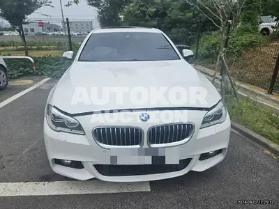 2015, BMW / 520, 64582 км., diesel, 1995 куб.см.