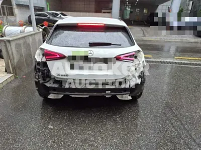 2019, Mercedes-Benz / a220, 113702 км., gas