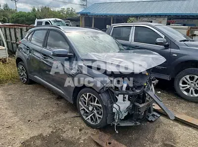 2020, Hyundai / Kona, VIN: KMHK381EGLU021022, hybrid