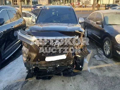 2019, Hyundai / Santa FE, VIN: KMHS581BBKU068419, 122080 км., diesel
