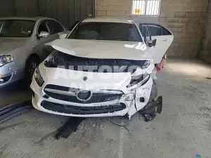 2020, Mercedes-Benz / A 220, VIN: W1K3G4EB7MJ280001, gas