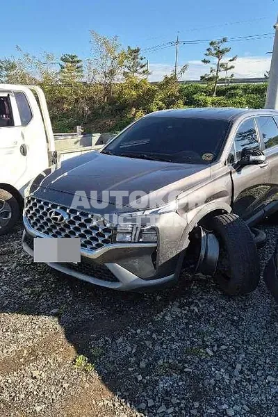 2021, Hyundai / Santa FE, 228841 км., diesel, 2151 куб.см.