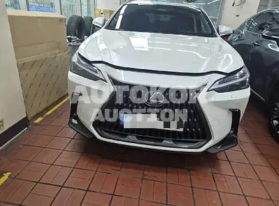 2024, Lexus / nx350h, 50000 км., hybrid, 2487 куб.см.