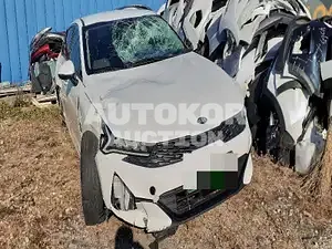 2020, Kia / K5, VIN: KNAG141ABLA025503, gas