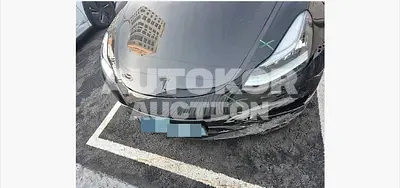 2020, Tesla / Model 3, 111251 км., electric