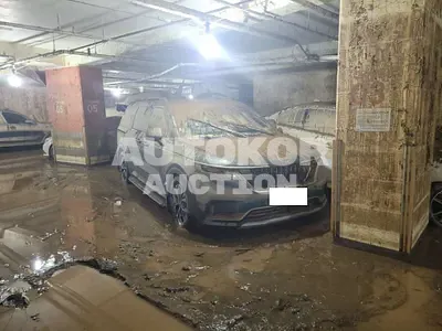 2021, Kia / Carnival, VIN: KNHNB37BBMS049575, diesel