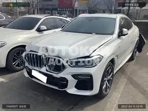 2021, BMW / X6, VIN: WBAMY6108M9F17197, gas