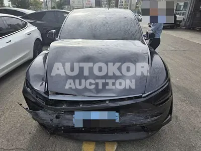 2025, Tesla / Model Y, electric