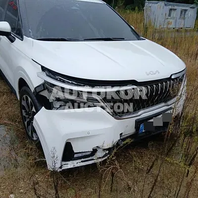 2022, Kia / Carnival, VIN: KNANB81BBPS265944, 69652 км., diesel, 2200 куб.см.