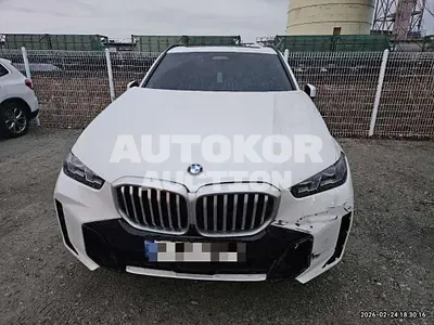2024, BMW / X5, 41261 км., diesel