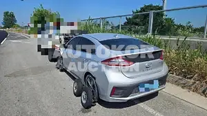 2018, Hyundai / Ioniq, electric