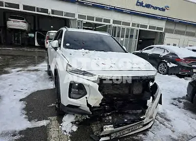2019, Hyundai / Santa FE, VIN: KMHS281BBKU139411, 150971 км., diesel, 2000 куб.см.