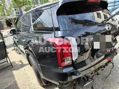 2020, Hyundai / Palisade, VIN: KMHR381ABLU121623, 94113 км., diesel