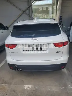 2019, Jaguar / F-Pace, VIN: SADCA2BN6KA365900, 50000 км., diesel
