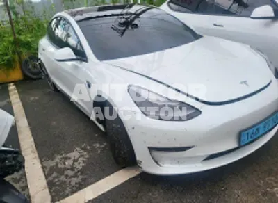 2021, Tesla / Model 3, VIN: 5YJ3E1EB3MF081338, electric
