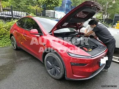 2025, Tesla / Model Y, VIN: LRWYGCFJ1SC146261, 1863 км., electric