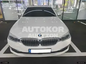 2020, BMW / 520, VIN: WVGZZZ5NZGW064119, gas