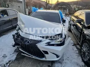 2021, Lexus / ES 300, VIN: JTHBA1C14M2005937, hybrid, 2487 куб.см.
