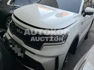 2021, Kia / Sorento, VIN: KNARH81FGNA125125, 36 км., gas