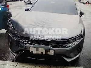 2020, Kia / K5, VIN: KNAG341JBLA003631, 27459 км., hybrid