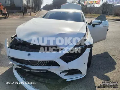 2019, Mercedes-Benz / cls300, VIN: WDW2J1JB3KA033847, 54978 км., diesel