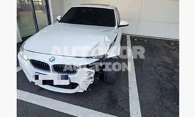2018, BMW / 320, 71916 км., diesel, 1995 куб.см.