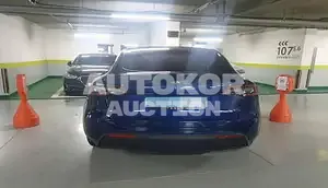 2022, Tesla / Model Y, electric, 236 куб.см.