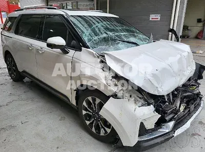 2021, Kia / Carnival, VIN: KNANC81BBMS128216, diesel