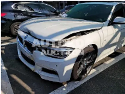 2018, BMW / 320, VIN: WBA8C5101JA074476, 61370 км., diesel