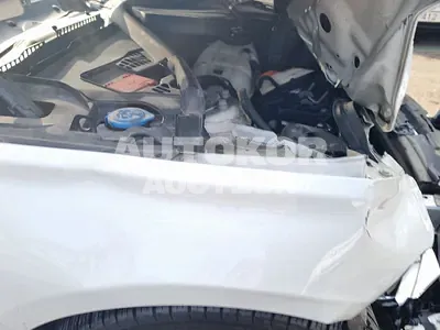 2018, BMW / 320, VIN: WBA8C510XJK736372, 44612 км., diesel