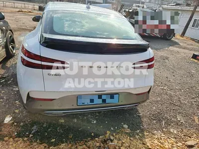 2021, Hyundai / Genesis, 105361 км., electric