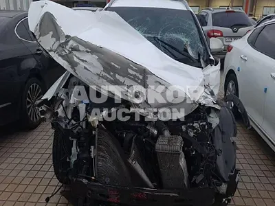 2019, Hyundai / Santa FE, VIN: KMHS581CBKU081567, diesel