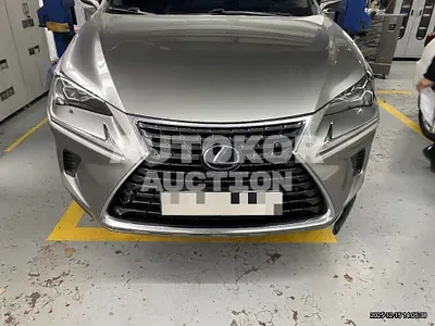 2019, Lexus / NX 300, 83790 км., hybrid