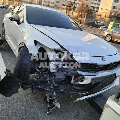 2021, Kia / Stinger, VIN: KNAE351DDMS099818, gas