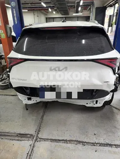 2024, Kia / Sportage, 8800 км., hybrid