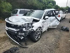 2020, Kia / Sorento, VIN: KNARM81FGMA071339, gas