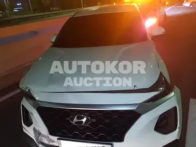 2018, Hyundai / Santa FE, VIN: KMHS281ABKU025354, gas, 1998 куб.см.