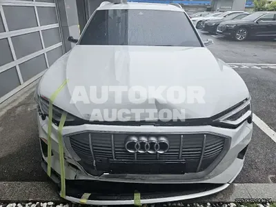 2021, Audi / e-tron, 50161 км., electric
