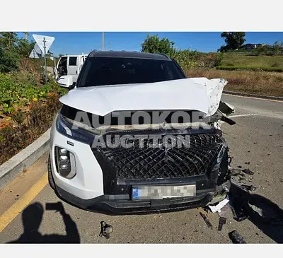 2019, Hyundai / Palisade, 100616 км., diesel, 2200 куб.см.