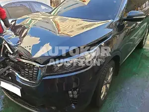 2018, Kia / Sorento, VIN: KNAPS81BBJA441570, diesel