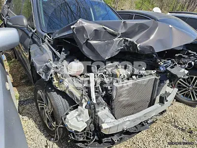 2020, Hyundai / Santa FE, VIN: KMHS381HGMU323913, diesel