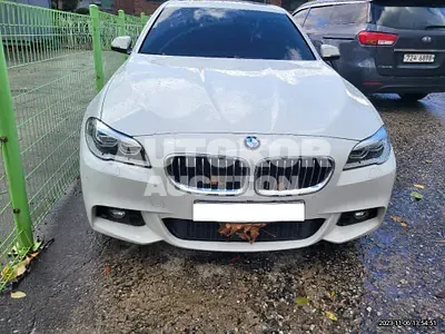 2016, BMW / 520, VIN: WBA5E5107GG208796, 96316 км., diesel
