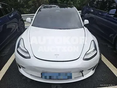 2020, Tesla / Model 3, 167402 км., electric
