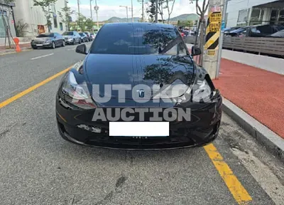 2025, Tesla / Model Y, VIN: LRWYGCFS0SC932741, 13061 км., electric