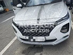 2018, Hyundai / Santa FE, VIN: KMHS581BBKU130229, 30000 км., diesel
