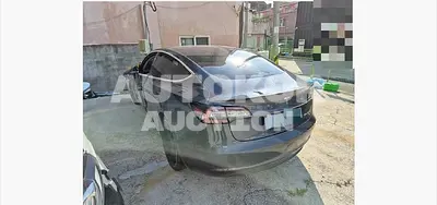 2020, Tesla / Model 3, 90000 км., electric, 225 куб.см.