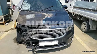 2016, Kia / Carnival, VIN: KNAMC81ABGS111516, diesel