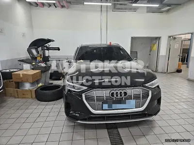 2021, Audi / e-tron, 41890 км., electric